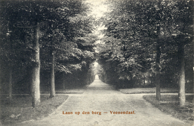 12259 Gezicht in een boslaan in de omgeving van het huis Prattenburg te Rhenen.